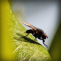 /album/bacentwolfco/photolia-a04-jpg/