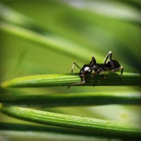 /album/bacentwolfco/photolia-a05-jpg/