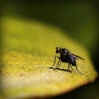 /album/bacentwolfco/photolia-a07-jpg/